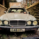 Illustration for article titled This Jaguar Graveyard Is Hauntingly Beautiful